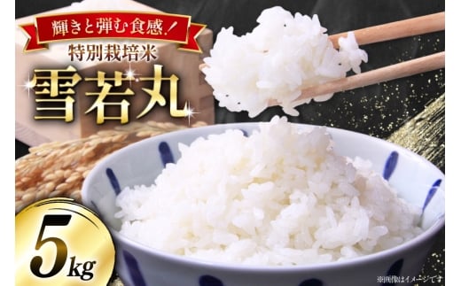 yR`z ߘa7NY ʍ͔|  5kg [{cEm R`  tk06bgj910000]    ͂  uh