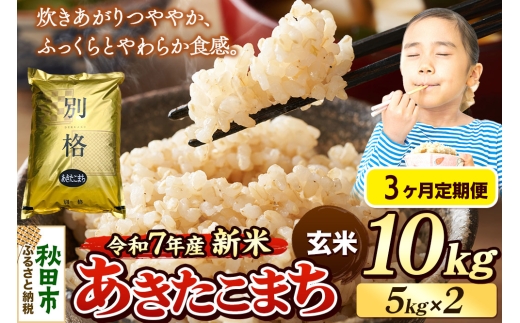 yHcHcszsߘa7NY Vāts3t  ܂ 10kgi5kg×2܁j yāz HcY