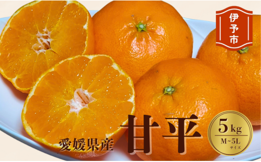 みかん 愛媛 甘平（5kg）サイズM～5L 人気 数量限定 先行予約 柑橘