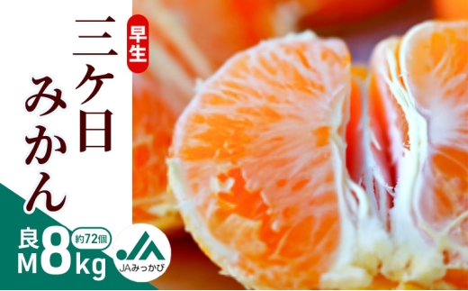 早生三ケ日みかん 良M 8kg (約72個) みかん ミカン フルーツ 果物