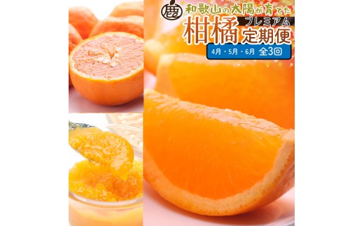 ya̎RߒqYzI kMi4`6jS3 mIKE296n