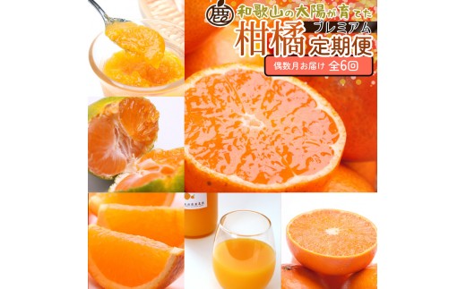 ya̎RߒqYzI kSijS6mIKE286n