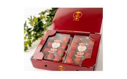 ym݂悵szYnڂwldtx@m݂悵s@2pbN(500g)y1284656z