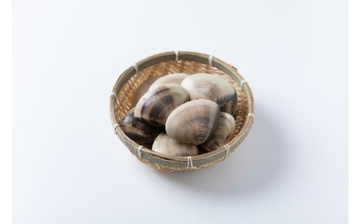 ytszVR ͂܂ 100-140gTCY 1.5kg  ͂܂   ① \㗢Y  L  CN L L o`  X`  O^ \㗢l j j ЂȂ