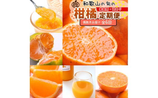 ya̎RߒqYzƒp kSijS6 mIKE302n