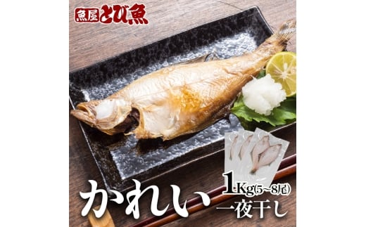 y䌧ዷzGeJC 1kg(5`8)   GeJC HHi Ђ炫   ̊J Ă ċ  Ђ  䌧 [5580-1242]