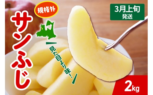 yX܏쌴szy2026N3{z  Tӂ  2kg KiO x X ܏쌴 s T ӂ 񂲋KiO