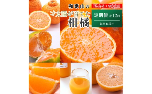 ya̎RxRzƒp kMijS12 mIKE307n