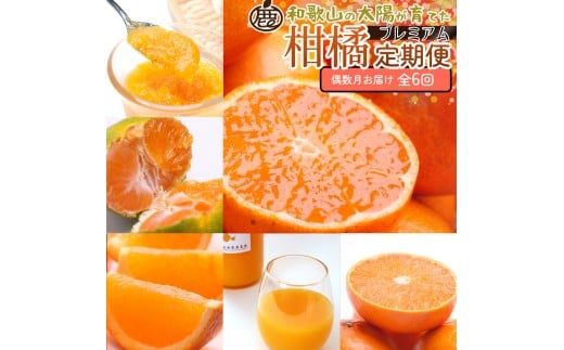 ya̎R쒬zI kMijS6 mIKE294n