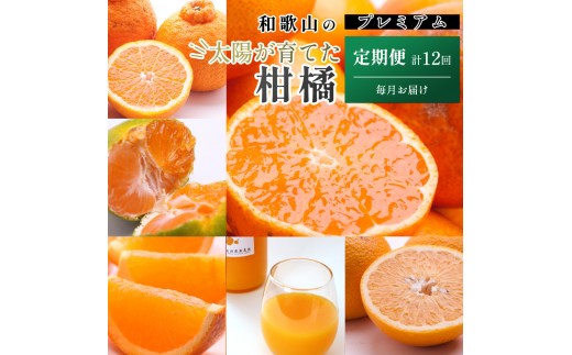 ya̎RxczI kMijS12 mIKE292n