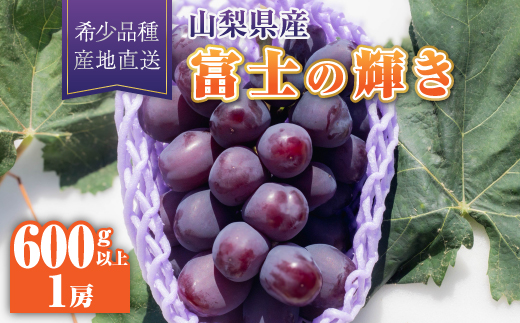 yRRsz2026Nxm̋P1[(600gȏ)y1613562z