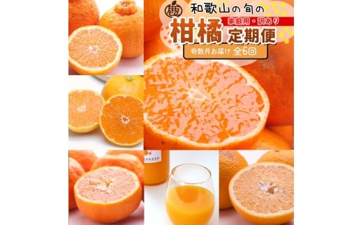 ya̎R쒬zƒp kSijS6 mIKE301n