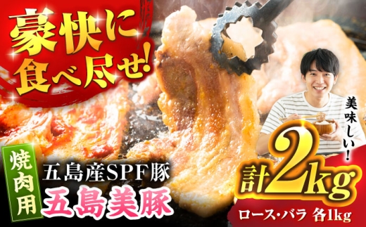 y茧ܓszܓ ē2kg ([X1kg/o1kg) ܓs/Ƃ_Ƌg [PAF053]