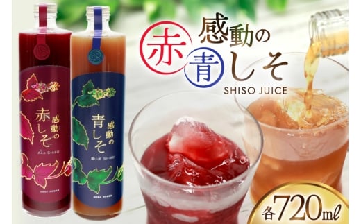 y茧szAJ308 ̐ԂW[X r 720ml  ̐W[X r 720ml  [ W[X hW[X Ԃ  茧 s ]