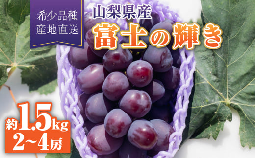 yRRsz2026Nxm̋P1[1.5kg(2`4[)y1613571z