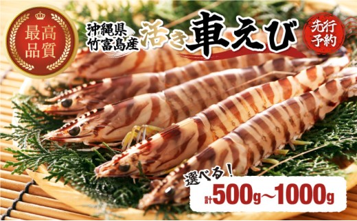 yꌧ|xzyeʂIׂIz|xY Ԃ Ԃ 500g?1kg  y CV ԃGr Gr ԊCV |xYz008-a010-a012