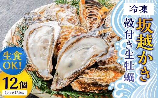 【兵庫県赤穂市】生食OK 坂越かき 殻付き生牡蠣 12個入り 【冷凍】 カキ 牡蠣 かき 海の幸 魚介 貝