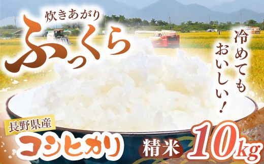 【長野県松川村】【令和7年度産】長野県産 コシヒカリ 精米 10kg | 米 こめ コメ お米 白米 はくまい 精米 コシヒカリ 長野県 松川村 信州