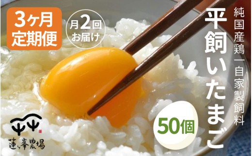 ys{szyցz܂ 50×2×3 y  Iׂ Iׂ錎    ܂ `qg݊ Ɣz ܂ ^}S    Y 