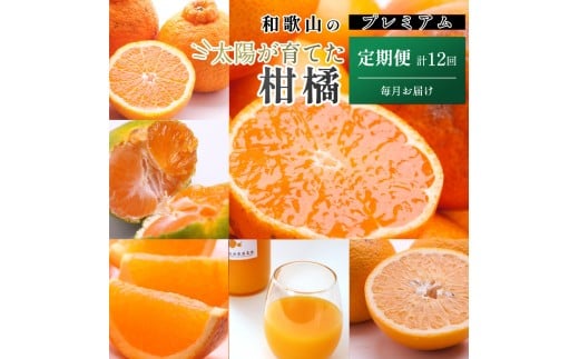 ya̎RxczI kSijS12mIKE285n