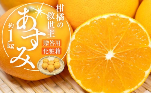 y쌧szk̋~ p  ϔ 1kgy2026-2{`2026-3{zz