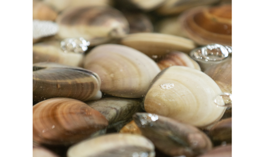 ytszVR ͂܂ 40-60gTCY 2.5kg  ͂܂   ① \㗢Y  L  CN L L o`  X`  O^ \㗢l j j ЂȂ