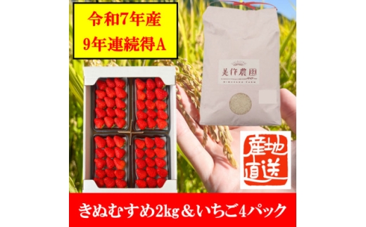 yRszߘa7NYVāEā@ʂނ2kg&l(280g×4pbN)y1676470z