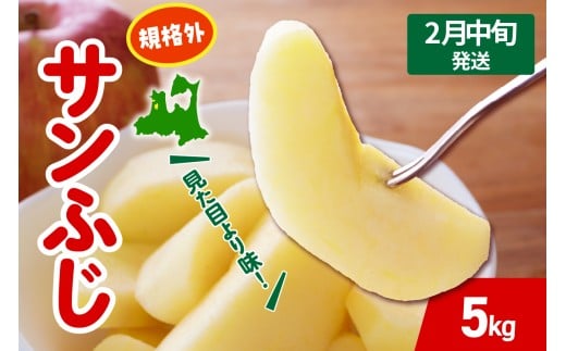 【青森県五所川原市】【2026年2月中旬発送】 りんご サンふじ 約 5kg 規格外 程度 青森 五所川原 不揃い サン ふじ りんご規格外