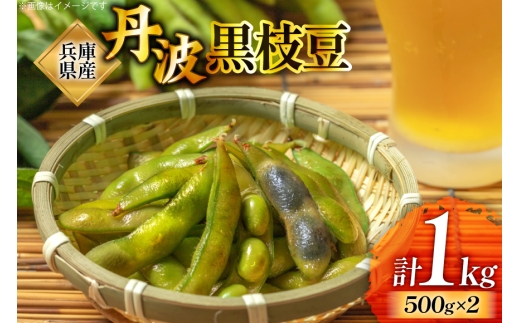 yɌOcszⓀ ɌY Og } 500g×2 v1kg [V Ɍ Ocs 3d28bdn950000]  ܂ 낦܂ Og Ⓚ} Og}