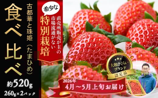 【奈良県桜井市】M-AF33.【4月〜5月上旬発送】減農薬いちご 「古都華&珠姫」2パック 食べ比べ 特別栽培農産物