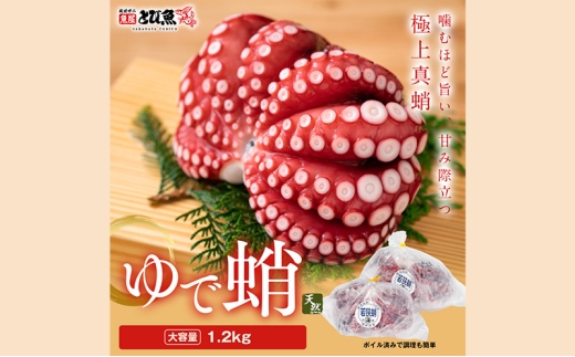 y䌧ዷz䥂ł܂ 䌧Y 1.2Kg i2`3tj^R {C   CN Y 䌧 ዷ [5580-1245]