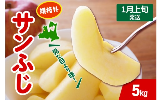 yX܏쌴szy2026N1{z  Tӂ  5kg KiO x X ܏쌴 s T ӂ 񂲋KiO