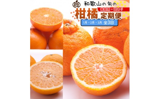 ya̎RxRzƒp kMi1`3jS3 mIKE310n