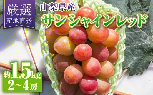 yRRsz2026NTVCbh1.5kg(2`4[)y1613545z