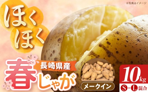 長崎県雲仙産 春作じゃがいも メークイン 10kg 【先行予約/2026年5月