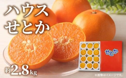 瀬戸内産　肥松乾燥30年い以上の　材を用いて制作したミニ食蘢　大香合です sd1_99ae943a5892465196f6dbfefe