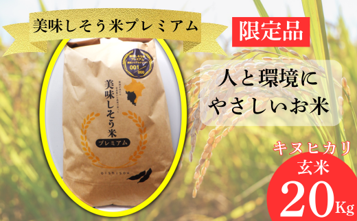令和７年　キヌヒカリ　玄米
30キロ Amazon.co.jp: 【玄米】令和7年 兵庫県産キヌヒカリ (5kg) 職人の