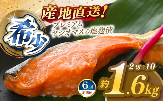 yȖ،szy6zuv~AVI}Xv̉ 2ؓ×10pbN  [ Ⓚ ] |  ܂ {B Yn Ȗ، (͂j