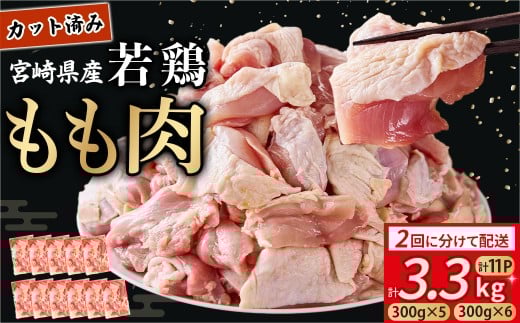 y{茧юszy͂IcĂї{{z{茧Y{Jbg 3.3kgi300g×5PE300g×6Pj Y { {  Jbgς  g `L e Ⓚ