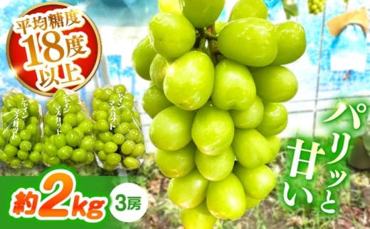 y茧쓇szy2026N7`zVC}XJbg 2kgi3[j/ VC}XJbg Ⴂ܂ Ԃǂ uhE / 쓇s / K}_XԂǂ [SGL001]