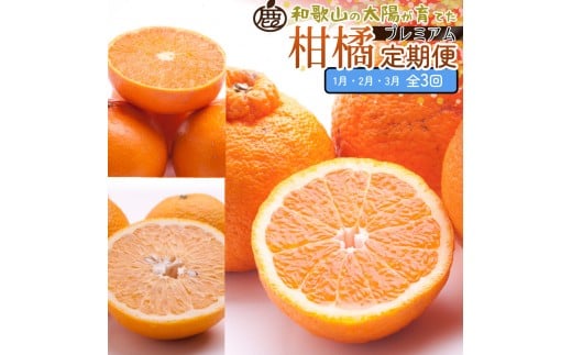 ya̎Ra̎RszI kSi1`3jS3mIKE288n