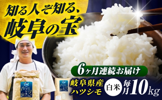 y򕌌򕌎szy6ցz򕌌YăncV(̓)10kg ncV    򕌎s / t@[ [ANHI006]