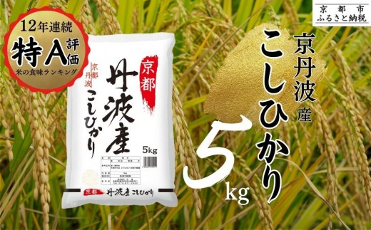 【京都府京都市】令和7年産 新米 京都丹波産 こしひかり 5kg ※米食味鑑定士厳選 ※精米したてをお届け【京都伏見のお米問屋が精米】米 令和7年産 ※沖縄本島・離島への配送不可 ※2025年11