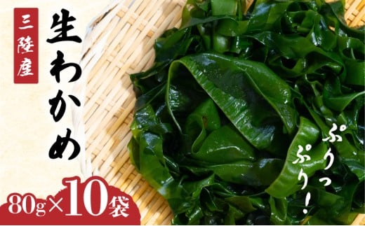 y茧Dnsz 킩 OY Iׂ 10 800g (ЂƑ 80g) ʂ킩 J wakame  ݂킩 hg hg   C Y X` ݂` X[v |