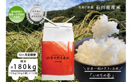 【石川県金沢市】【12ヶ月定期便】【お米番付優秀賞受賞農家】日本一粒の大きいお米『いのちの壱』白米15kg×12回