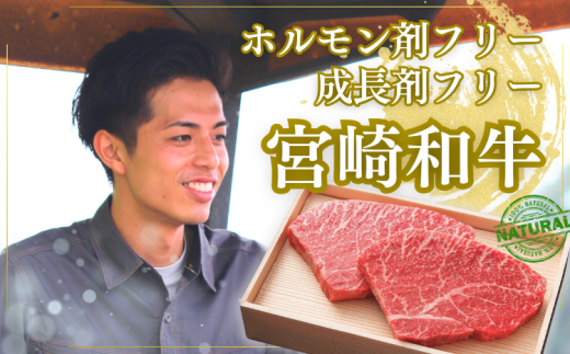 y{茧zI ]ca Xe[L 800gZbg(200g×4)  {̃uhu{苍v [ Y јa Ⓚ Mtg A5   {茧 XgbvICΉ] TF0744-P00