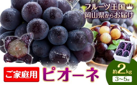 yRszy2026Ns\zԂǂ ƒp sI[l 2kg 3[~5[ 肨_s2026N9{-10{oׁtR s  Ԃǂ t[c ʕ  fU[g 