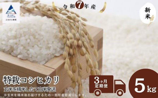 yΐ쌧szy3ցz̓RVqJ   i5kg𐸕ĂĔĔjߘa7NY V Ђ | ΐ쌧 sŷނ_Yz