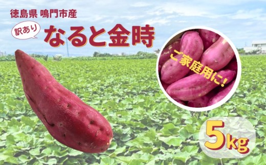 本場・徳島県鳴門市産「ご家庭用（ 訳あり ） なると金時 」約5kg