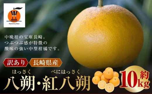 長崎特選紅八朔２Ｌ〜３Ｌサイズ10キロ入り（約20個〜25個） 楽天市場】紅はっさく (2L-3L/10kg) 広島産 赤秀 八朔 はっさく 10キロ
